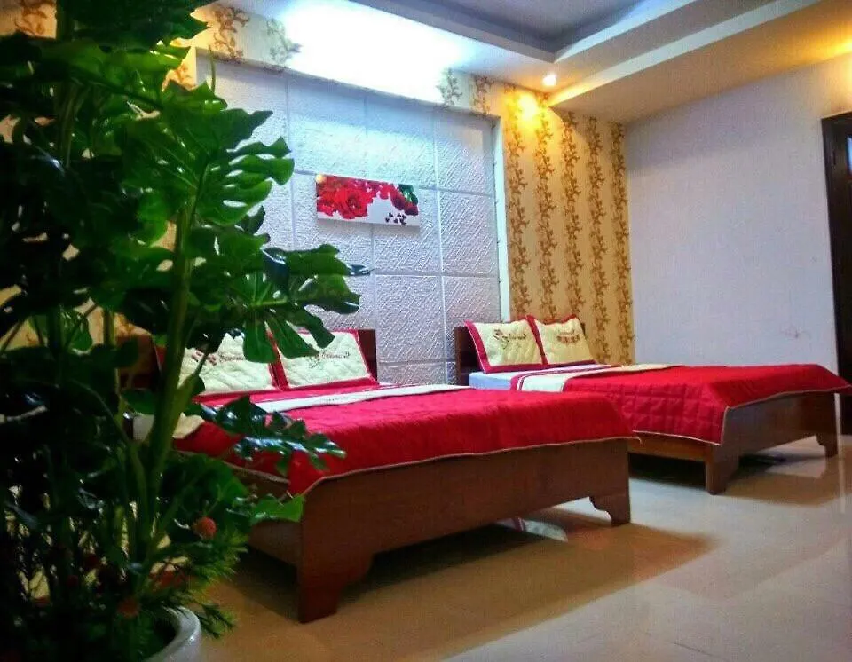 Pink Host Hotel Vung Tau